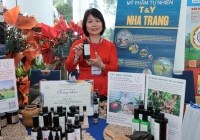 Thời đại start-up và những lưu ý cơ bản về quyền sở hữu trí tuệ