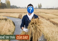 Từ ngôi sao được săn đón, nam thần đình đám 'bỏ phố về quê' làm nông dân nâng khối tài sản lên hàng trăm tỷ đồng