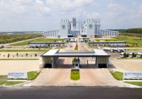 C.P. Việt Nam bị tố bán thịt heo bệnh: Gã khổng lồ ngành chăn nuôi làm ăn ra sao?