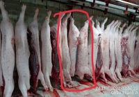 Thịt heo bệnh vào Fresh Shop C.P: Phạt 105 triệu là đủ răn đe?
