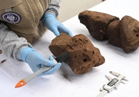 Bí mật ngìn năm tuổi của “Chiến binh Mây” lộ diện giữa rừng mây Peru