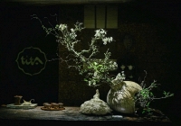 Triển lãm Ikebana Hà Nội lần thứ VIII-“Tương giao”: Một cuộc đối thoại dịu dàng giữa con người và thiên nhiên