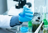 Nhóm nghiên cứu gốc Việt thành công giải mã cách thực vật tạo ra chất hiếm chống ung thư