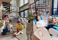 Biệt thự 3 tầng của Ella Trần Gia Hoa (S.H.E): Không hào nhoáng nhưng có 1 chi tiết mê hoặc ai nhìn vào cũng nói 'nhà phải như thế này'!