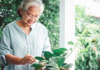 Về già, dù giàu hay nghèo, giữ được 4 điều này mới là may mắn nhất