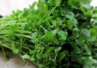 Mỹ đánh giá đây là “vua của các loại rau”, chứa đầy dưỡng chất quý, người Việt đã ăn từ lâu