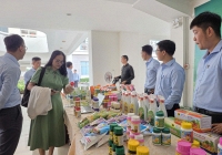 Thực phẩm sạch không gian xanh giải pháp từ nông nghiệp đô thị giữa lòng thành phố