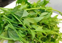 5 loại rau 'ít thuốc, siêu lành': Giá rẻ nhất chợ Việt, không mua quá phí