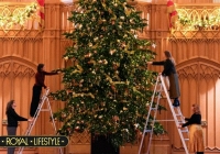 Giáng sinh cổ tích ở Lâu đài Windsor: Cây thông 6m treo 3000 bóng đèn, nhà búp bê Nữ hoàng và vé rẻ bất ngờ cho người thu nhập thấp