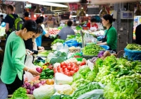 4 loại rau sạch cực ít thuốc trừ sâu, vừa bổ dưỡng còn tốt cho sức khỏe: Đi chợ yên tâm mua ngay kẻo hết