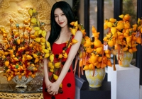 'Cây tài lộc' ít người biết: Quả vàng óng 5 múi, chưng Tết 2026 mang ý nghĩa 'ngũ phúc lâm môn', tiền vào như nước