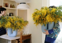 Vì sao giới nhà giàu lại chi hàng triệu mua 'nàng thơ nước Úc' về chưng Tết? Câu trả lời nằm ở 4 chữ 'phú quý trường cửu'