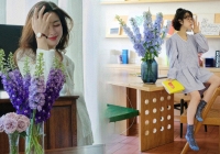 Muốn nhà sang như Tây dịp Tết, thử ngay phi yến xanh: Người mới chơi chớ dại mua loại này kẻo 'tiền mất tật mang'