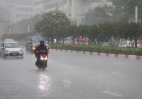 Không khí lạnh tăng cường trở lại, miền Bắc mưa to, rét đậm từ đêm mai