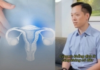 Có 'thuốc bổ trứng' không? Bác sĩ nói thẳng một điều, nhiều phụ nữ chợt hiểu vì sao mình uống mãi vẫn khó có con