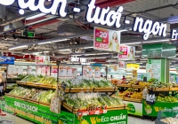 Tại sao mua sắm trực tiếp tại cửa hàng vẫn duy trì sức hút, bất chấp sự lên ngôi của thương mại điện tử?