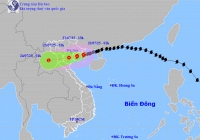 Hải Phòng quyết liệt ứng phó siêu bão WIPHA