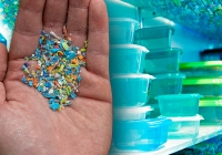 Nhà nghiên cứu vi nhựa chỉ ra sự thật về các mảnh nhựa siêu nhỏ và làm sao để hạn chế nguy hiểm từ chúng trong cuộc sống hàng ngày