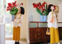 Hoa dong riềng bỗng hot: Loài hoa tưởng bị 'ra rìa' nay gây sốt vì đẹp sang bất ngờ, nở rực ba mùa trong năm, trồng phát lên luôn