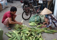 Khi hẻm nhỏ thôi buồn…