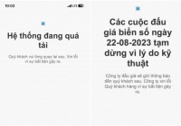Vì sao Công ty Đấu giá Hợp danh Việt Nam được chọn tổ chức đấu giá biển số xe ô tô?