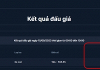 Phiên đấu giá biển số xe ô tô đầu tiên: Biển ngũ quý 5 đã có chủ với giá trúng gần 2,7 tỷ đồng 