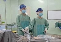 Phát hiện hàng trăm con giun trong ruột thừa bé gái 5 tuổi vì thói quen xấu này