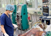 Hành nghề giết mổ lợn, người đàn ông Yên Bái nguy kịch vì mắc liên cầu lợn