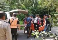 Chụp ảnh 'check in' tại thác nước nổi tiếng Bali, du khách tử vong thương tâm ngay trước mặt bạn gái 