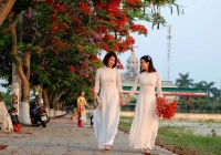 Phụ nữ đất Cảng