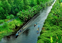 Du xuân nơi cực nam Tổ quốc