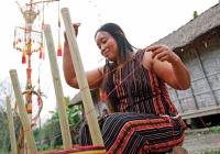 Sức sống thổ cẩm Mạ