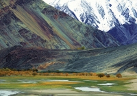 Ladakh, miền khắc nghiệt an nhiên