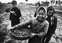 Chuyện của thiên thần