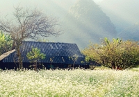 Nhớ về Châu Mộc