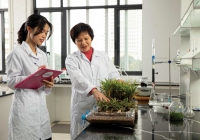 Giải thưởng từ vua Thái Lan vì “Hồi sinh những vùng đất chết”