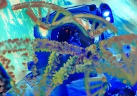 Môi trường không gian kích hoạt “bộ gen tối” trong DNA, đẩy tế bào vào vòng xoáy lão hóa