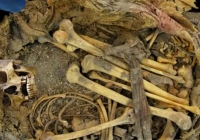 Xác ướp 1.000 năm tuổi hé lộ dấu vết của hệ vi sinh vật tiền sử 