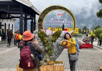 Chiêm ngưỡng thế giới Sen đá độc đáo tại Lễ hội Hoa Sen đá 2025 