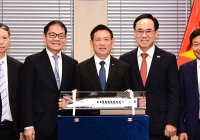 Phó Thủ tướng làm việc với THACO và Hyundai Rotem về dự án đường sắt tốc độ cao