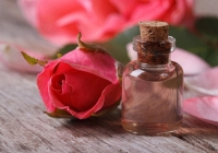 Loại keo thông minh từ hoa hồng có thể “bật – tắt” độ dính bằng ánh sáng