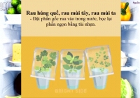 Bảo quản thực phẩm tươi lâu trong tủ lạnh: không khó!