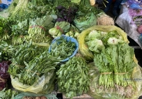 7 loại rau tươi ngon, dễ mua với giá rẻ quanh năm