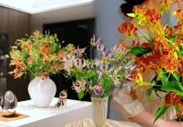 Hoa ngót nghẻo đẹp mê như bó lửa đỏ nhưng cực độc: Mẹ nào mê cắm Tết nhớ đọc kỹ trước khi mua