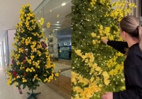 Tha cho cây thông Noel đi, Tết còn tận 3 tháng nữa mới đến