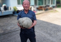 Ông lão nông dân nhặt được kho báu tiền tỷ khi đi cắt cỏ 