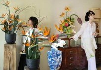 Hoa thiên điểu “đổ bộ” phòng khách ngày Tết: Nhìn là thấy giàu, cắm một lần là nghiện