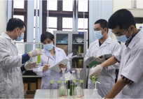 Hội Sáng chế Việt Nam lần đầu vinh danh “Hiệp sĩ sáng chế”: Dấu ấn  GS.TS Vũ Thị Thu Hà trong hai bảng xếp hạng sáng chế