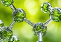 Hợp chất nấm chống ung thư được tổng hợp thành công sau 55 năm