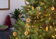 10 mẫu cây thông Noel đơn sắc tuyệt vời cho mùa lễ hội năm nay